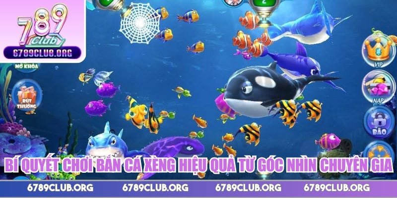 Bí quyết chơi bắn cá xèng hiệu quả từ góc nhìn chuyên gia