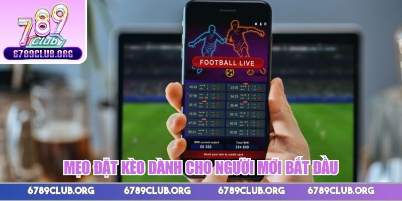 Mẹo đặt kèo dành cho người mới bắt đầu