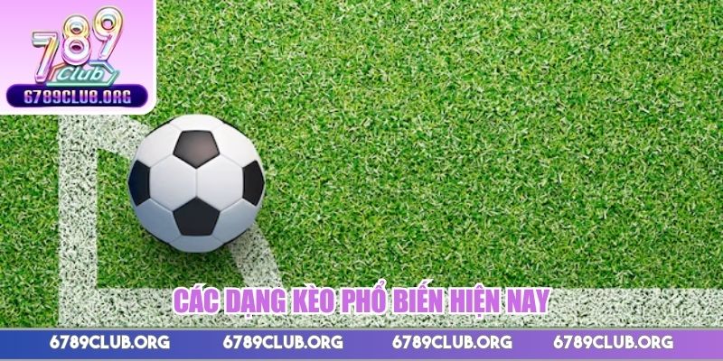 Các dạng kèo phổ biến hiện nay 
