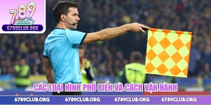 Các loại hình phổ biến và cách vận hành 