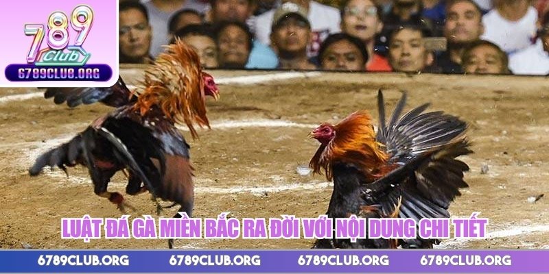 Luật đá gà miền Bắc ra đời với nội dung chi tiết