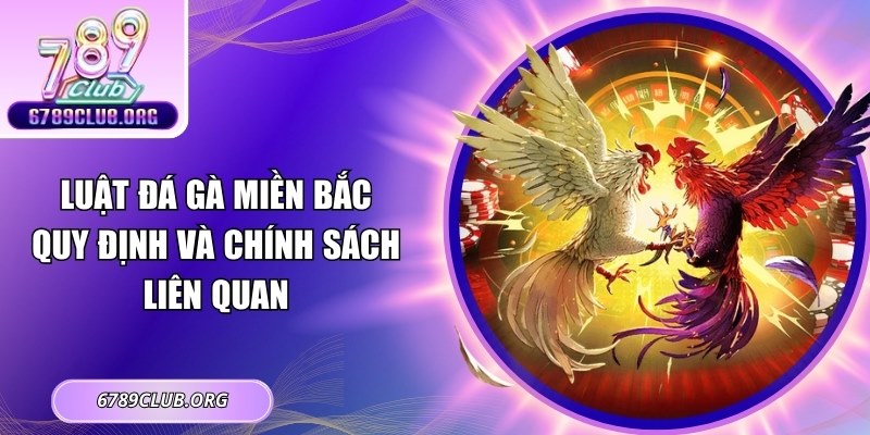 Luật Đá Gà Miền Bắc: Quy Định Và Chính Sách Liên Quan