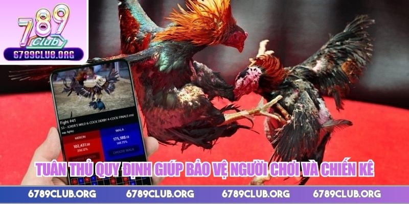 Tuân thủ quy định giúp bảo vệ người chơi và chiến kê