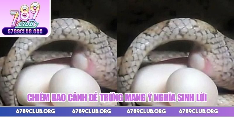 Chiêm bao cảnh đẻ trứng mang ý nghĩa sinh lời