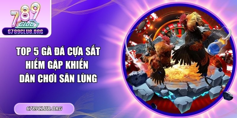 Top 5 Gà Đá Cựa Sắt Hiếm Gặp Khiến Dân Chơi Săn Lùng